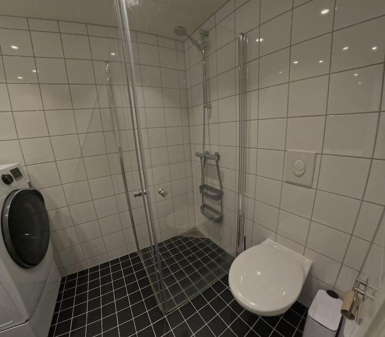 In Center Apartment Alta